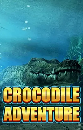 Crocodile Adventure